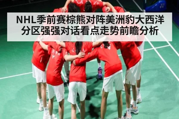 NHL季前赛棕熊对阵美洲豹大西洋分区强强对话看点走势前瞻分析